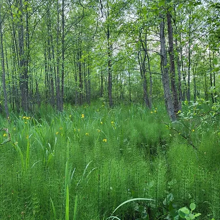 Hostel Wannabe Fu-47 Fiskars